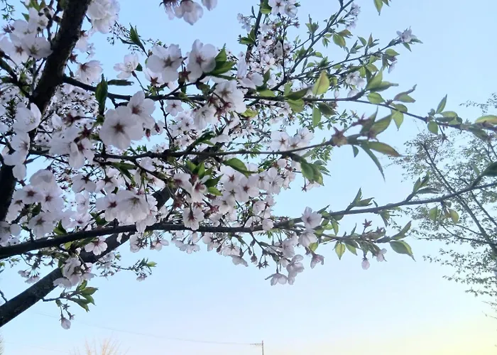 Namcheon Story * Busan